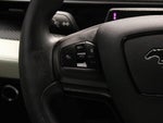 2023 Mustang Mach-E Thumbnail 24
