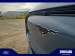 2023 Mustang Mach-E Thumbnail 23