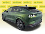 2025 Mustang Mach-E Thumbnail 11