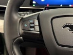 2025 Mustang Mach-E Thumbnail 19
