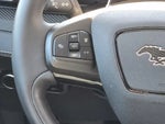 2023 Mustang Mach-E Thumbnail 18