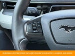 2022 Mustang Mach-E Thumbnail 18