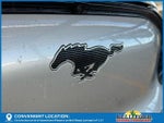 2021 Mustang Mach-E Thumbnail 10