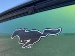 2024 Mustang Mach-E Thumbnail 17