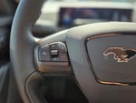 2024 Mustang Mach-E Thumbnail 18