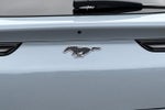 2025 Mustang Mach-E Thumbnail 28