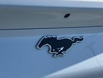2023 Mustang Mach-E Thumbnail 25