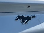 2023 Mustang Mach-E Thumbnail 25