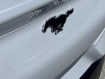 2023 Mustang Mach-E Thumbnail 27