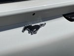 2023 Mustang Mach-E Thumbnail 30