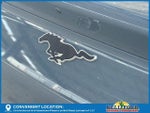 2023 Mustang Mach-E Thumbnail 9