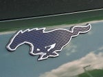 2024 Mustang Mach-E Thumbnail 30