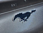 2023 Mustang Mach-E Thumbnail 18