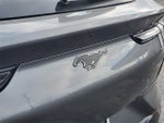 2023 Mustang Mach-E Thumbnail 29
