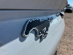 2023 Mustang Mach-E Thumbnail 24