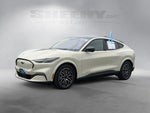 2025 Mustang Mach-E Thumbnail 17