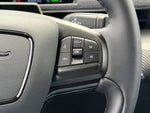 2025 Mustang Mach-E Thumbnail 19