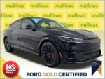 2025 Mustang Mach-E Thumbnail 1