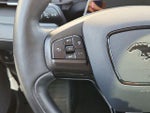 2021 Mustang Mach-E Thumbnail 20