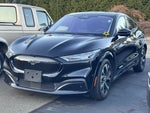 2021 Mustang Mach-E Thumbnail 3