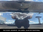 2023 Mustang Mach-E Thumbnail 12