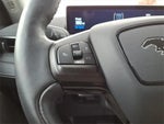 2021 Mustang Mach-E Thumbnail 16