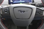 2021 Mustang Mach-E Thumbnail 18