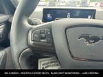 2024 Mustang Mach-E Thumbnail 20