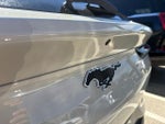 2025 Mustang Mach-E Thumbnail 9