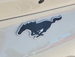 2025 Mustang Mach-E Thumbnail 31