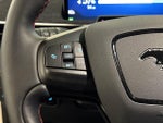 2025 Mustang Mach-E Thumbnail 19