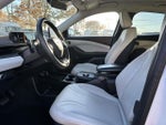 2021 Mustang Mach-E Thumbnail 13