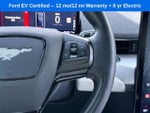 2022 Mustang Mach-E Thumbnail 18