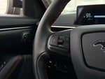 2025 Mustang Mach-E Thumbnail 10