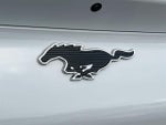 2021 Mustang Mach-E Thumbnail 12