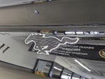 2024 Mustang Mach-E Thumbnail 29