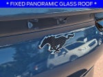 2023 Mustang Mach-E Thumbnail 30