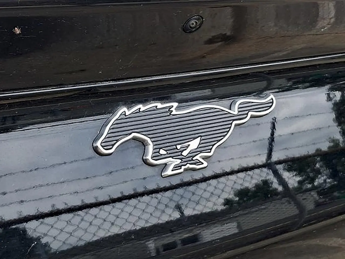 2023 Ford Mustang - $31,998