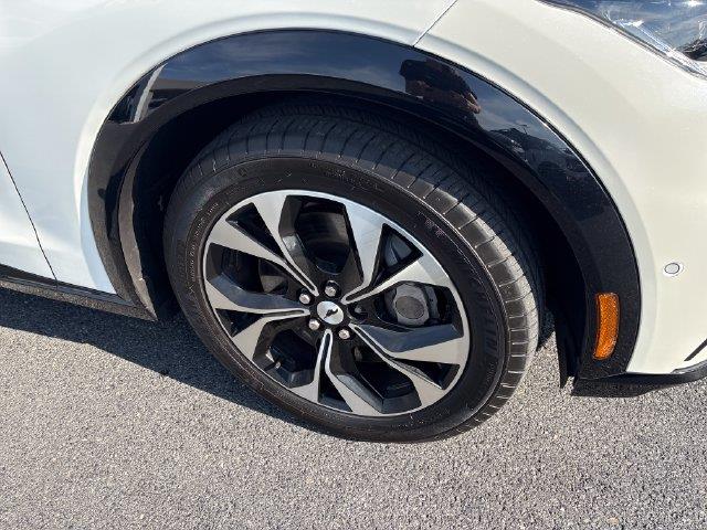 2023 Ford Mustang