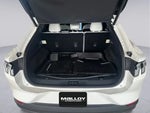 2025 Mustang Mach-E Thumbnail 19