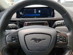 2021 Mustang Mach-E Thumbnail 19