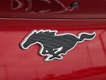 2021 Mustang Mach-E Thumbnail 29