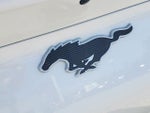 2024 Mustang Mach-E Thumbnail 32