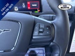 2025 Mustang Mach-E Thumbnail 21