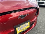 2021 Mustang Mach-E Thumbnail 10