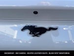 2023 Mustang Mach-E Thumbnail 12