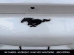 2024 Mustang Mach-E Thumbnail 12