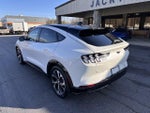 2021 Mustang Mach-E Thumbnail 7