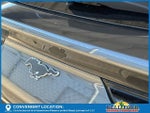 2023 Mustang Mach-E Thumbnail 10