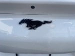 2024 Mustang Mach-E Thumbnail 12